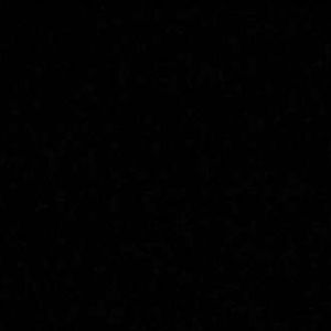 Meet your Posher, Kamryn